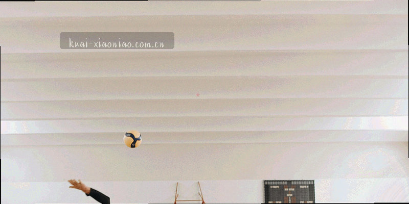 由橙色与翠绿线条构成的小鸟体育综合运动轨迹抽象纹理